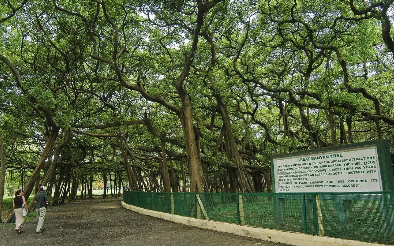 Bayan Botanical Garden, Kuwait